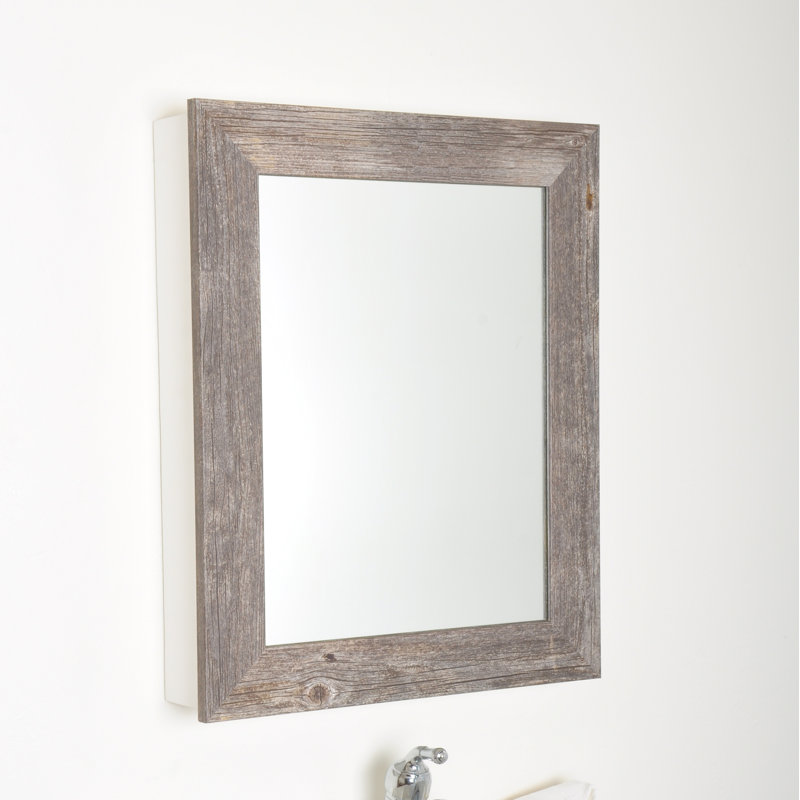Gracie Oaks Friddle Farmhouse Grain Mirrored Surface Mount Framed 1